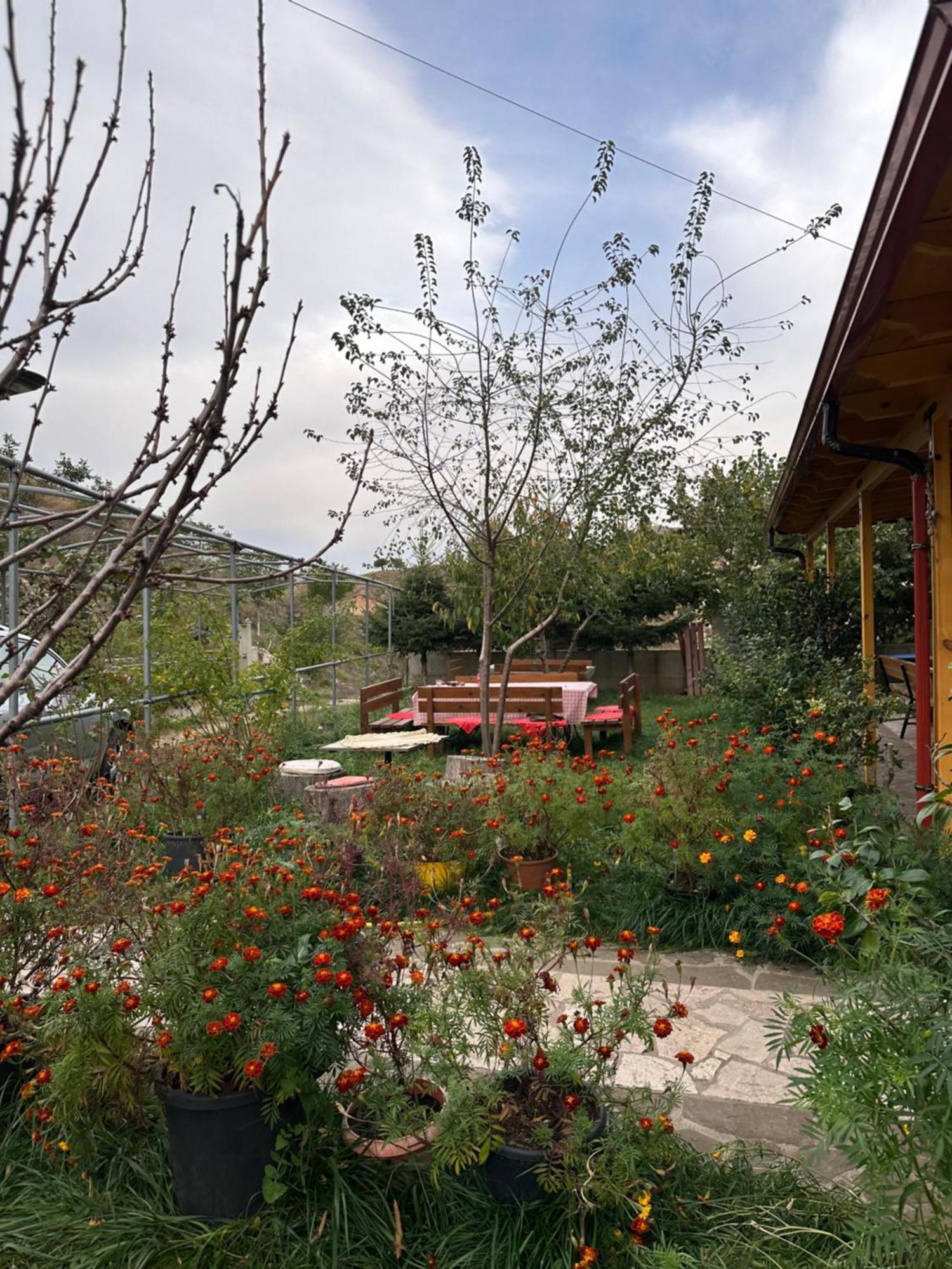 Bujtina Hader Xhebro Hostel Tepelene Екстериор снимка